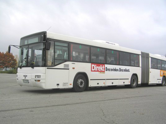Leva ali desna povrsina brez stekel