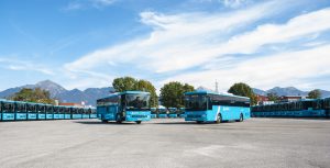Arriva 6
